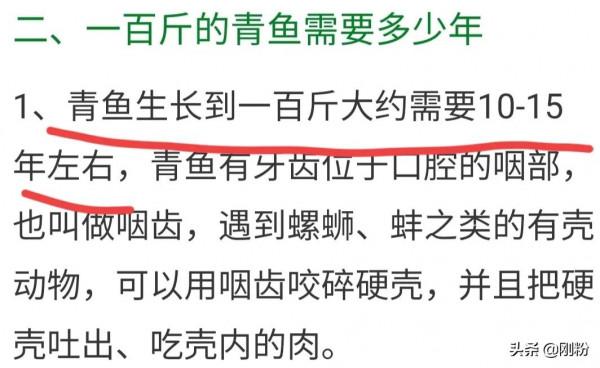 極釣江湖老黑最近釣了一條140斤的巨青，被質疑做假