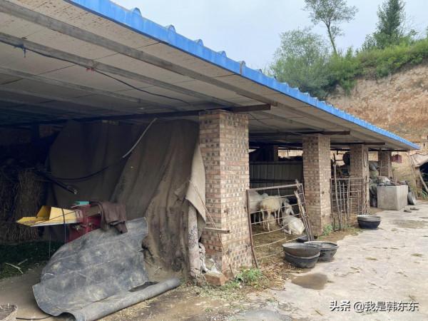 山西中部山村，人口不到百人，留守老人勤勞樂觀—汾陽市馬家社村