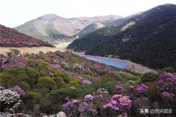 大理市、祥雲縣、賓川縣、彌渡縣等12市縣海拔最高點和最低點