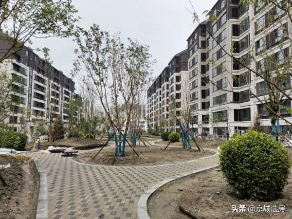 海淀新盤、紫郡蘭園、均價5.3萬、89平米、現房、剩53套房源