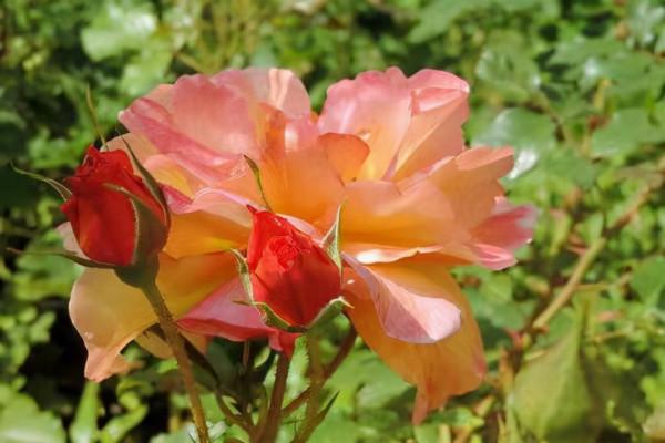 發朋友圈，要記得：遮蔽一些“重要”的人