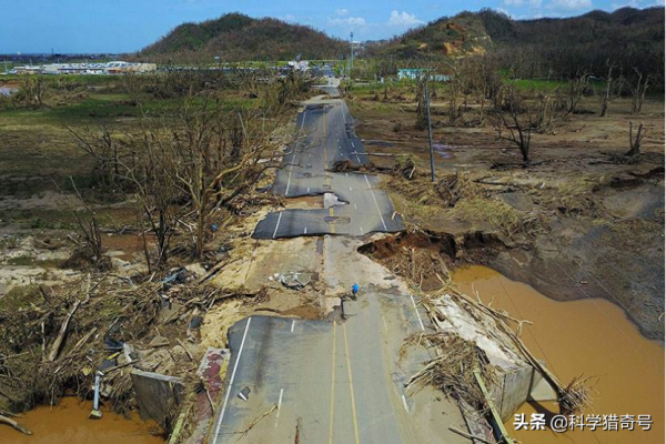 如果人類從世界上消失，自然界會有怎樣的變化？動物們在做什麼？