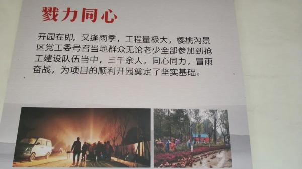 建業足球小鎮的15億，是如何被全部沖毀的？