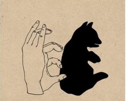 家裡停電了，你還會玩手影遊戲，數星星，找螢火蟲嗎？