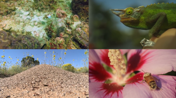 宇宙中我們是孤獨的嗎？想要與地外文明接觸，人類是如何做的呢？