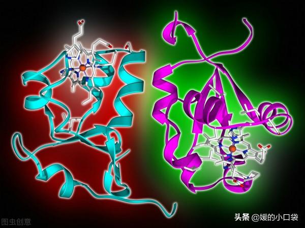 每天一個蘋果，能夠預防疾病嗎？營養師：4個好處