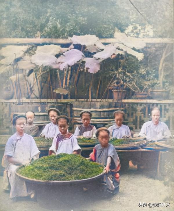 晚清老照片:男子扛著銅錢逛街,妃子樣貌醜,老虎被眾人圍觀 晚清老照片:男子扛著銅錢逛街,妃子樣貌醜,老虎被眾人圍觀