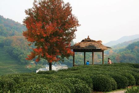 浙江十大冷門景點，人少景美好玩