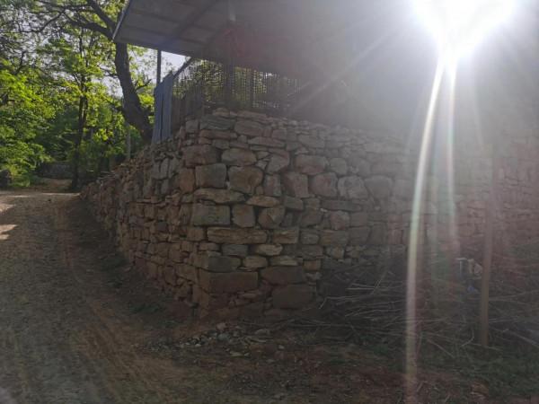 南山深處有人家