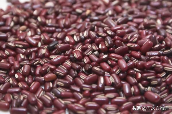 盤點那些原產中國的糧食作物