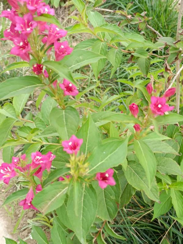 誰說近處無風景?大美清泉河給你一份不同的畫卷 誰說近處無風景?大美清泉河給你一份不同的畫卷