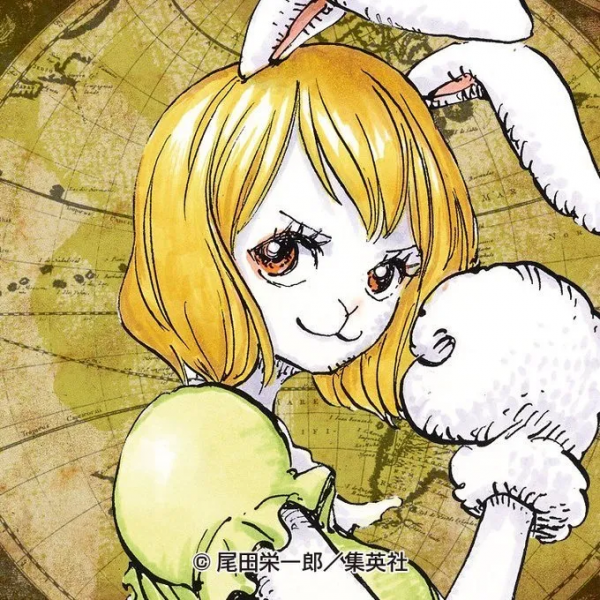 海賊王頭像│官推頭像