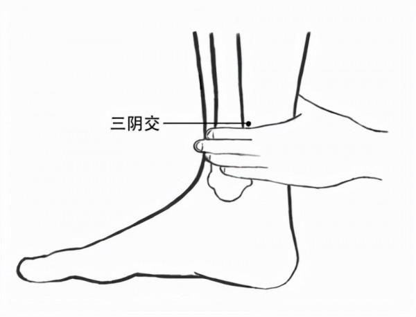 中醫養肝,哪些人容易肝不好? 中醫養肝,哪些人容易肝不好?