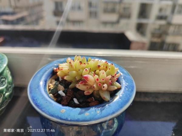 花園，美肉，怎可缺席