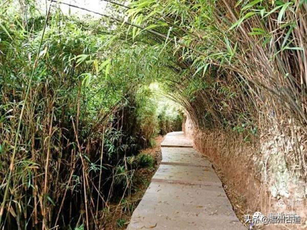 大羅山有處“二師兄”奇石，惟妙惟肖，你可找到過？