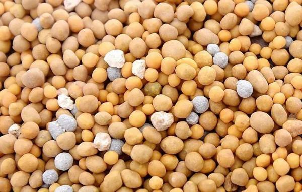 售價上百元的養花土,在家就能自己配,一點都不比買來的差 售價上百元的養花土,在家就能自己配,一點都不比買來的差