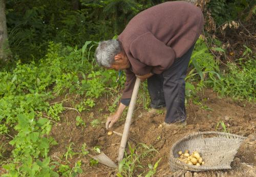 農村養老,你交了嗎? 農村養老,你交了嗎?
