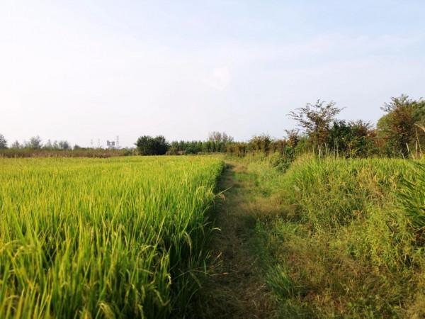 摩托周邊旮旯遊——尋朱元璋出家之於皇寺 摩托周邊旮旯遊——尋朱元璋出家之於皇寺