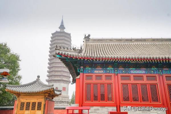 北京通州區有幾座免費公園，環境好面積大，可賞大運河兩岸美景