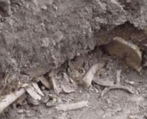 陝西老農建房挖出白骨，牽扯出40年前血案，死者是毛主席親侄子