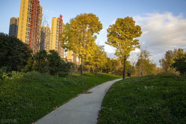 市場說,房貸利率下降了,是不是樓市調控放鬆的訊號? 市場說,房貸利率下降了,是不是樓市調控放鬆的訊號?