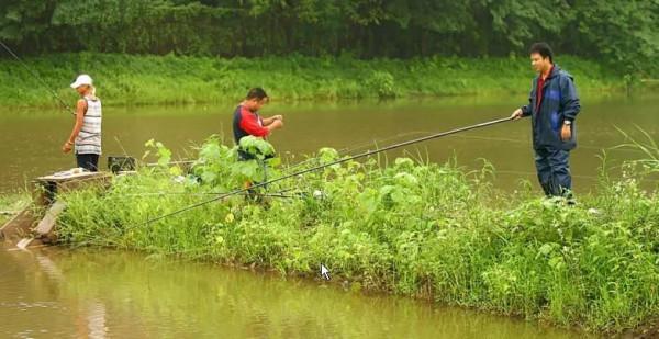 野釣想要連桿,就必須弄明白因地、因時、因魚這三個重要因素 野釣想要連桿,就必須弄明白因地、因時、因魚這三個重要因素
