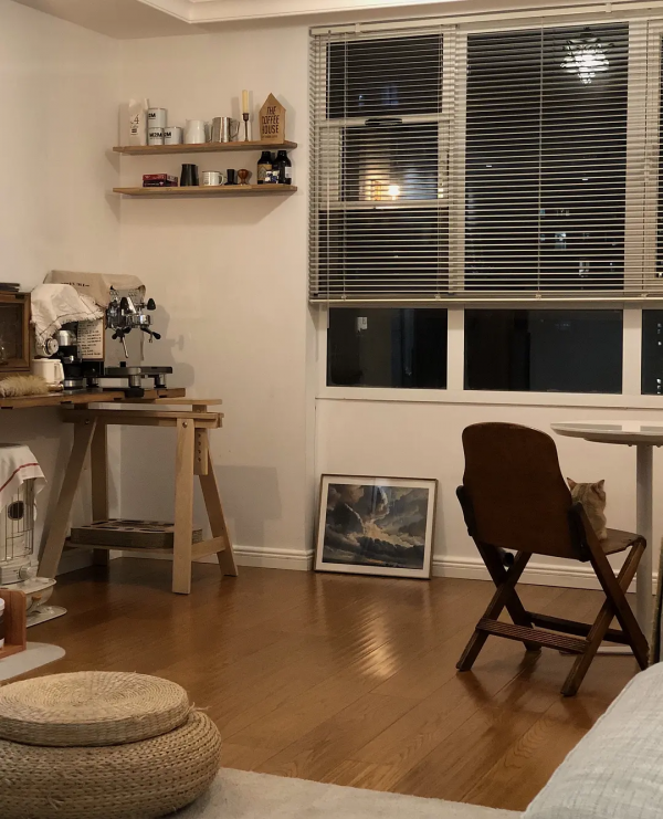 分享3貓2人住了五年滿當當的家 分享3貓2人住了五年滿當當的家