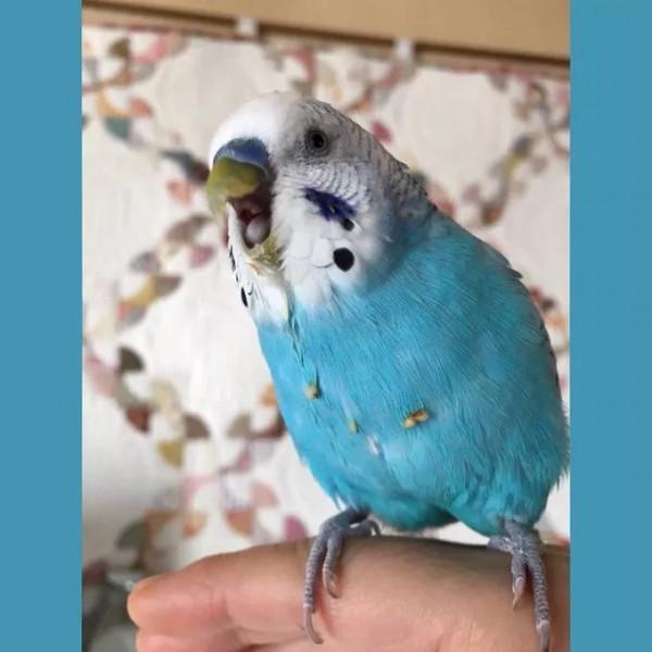 日本網友的魔性簡筆畫,太有靈魂了哈哈哈哈哈 日本網友的魔性簡筆畫,太有靈魂了哈哈哈哈哈