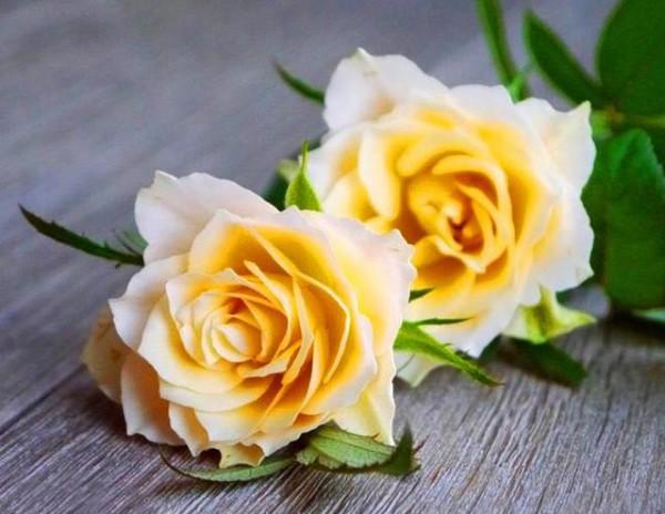 人到中年：人際關係斷、舍、離，是智慧的巔峰