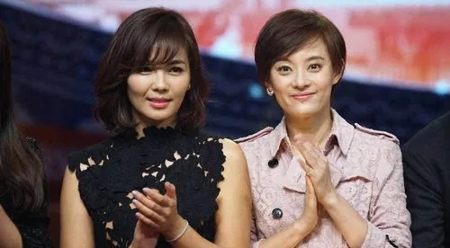 孫儷劉濤關聯公司被強制執行，金額98279元，網友問是太忙忘了嗎