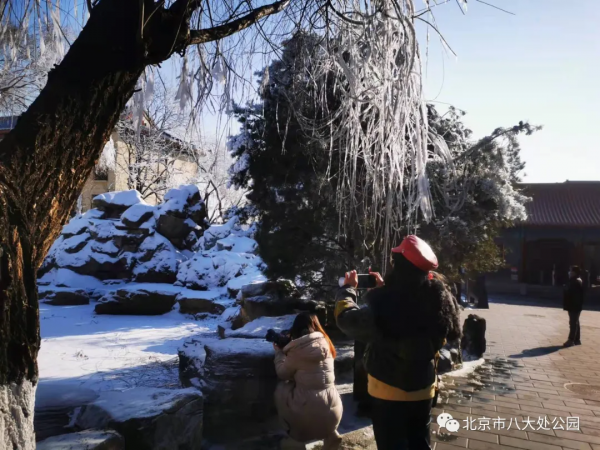 美翻了，北京這個地方開始造雪景啦
