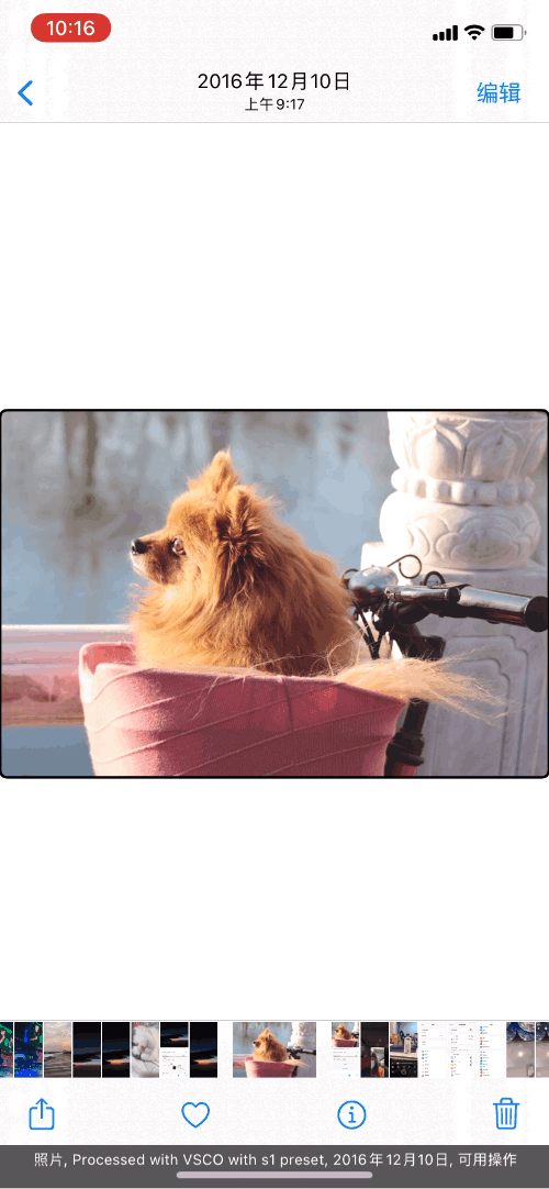 蘋果 iOS 15 正式版上線！「實況文字」超實用，20+ 個新功能值得體驗