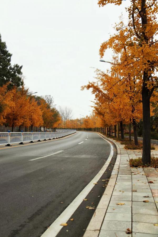 秦皇島北戴河秋天的美景