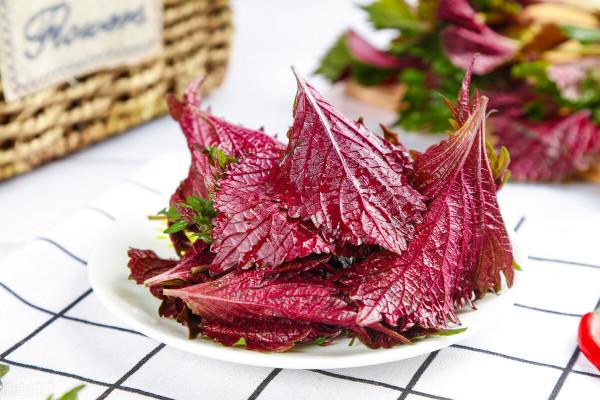 胸悶頭痛、情緒低落，肝氣鬱結？一味藥助你疏肝解鬱