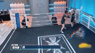 張偉麗懸了！網友炮轟張偉麗不務正業還玩綜藝：二戰羅斯還得輸