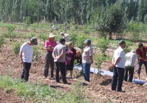 結婚難,3類農民卻不發愁,你們村也這樣嗎? 結婚難,3類農民卻不發愁,你們村也這樣嗎?