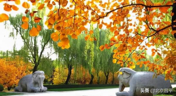 2021好幸運，和你在昌平走過春夏秋冬