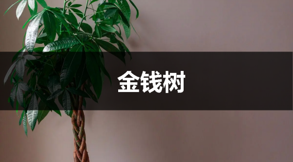 這樣裝修既漂亮又實用，引起極度的舒適感