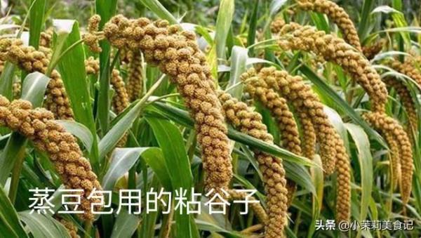 過年的習俗（五）