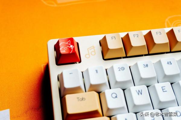 萌物一枚——ikbc陰陽師聯名茨球樂隊鍵盤分享