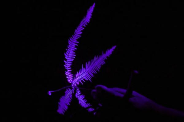 跟中國國家地理看福建 | 活動招募 跟中國國家地理看福建 | 活動招募