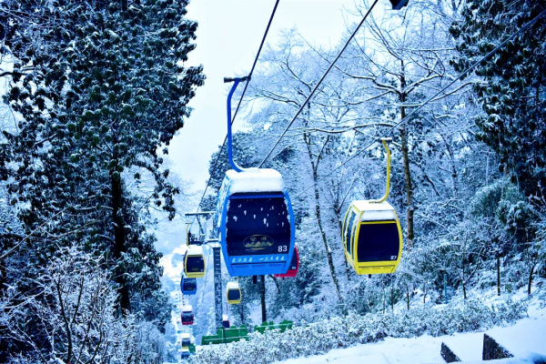 元旦最強攻略出爐！小眾美景、愜意度假、全家出遊都有，拿走去耍