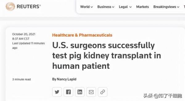 世界首例！豬腎被移植到人體內，暫時未發現排異反應