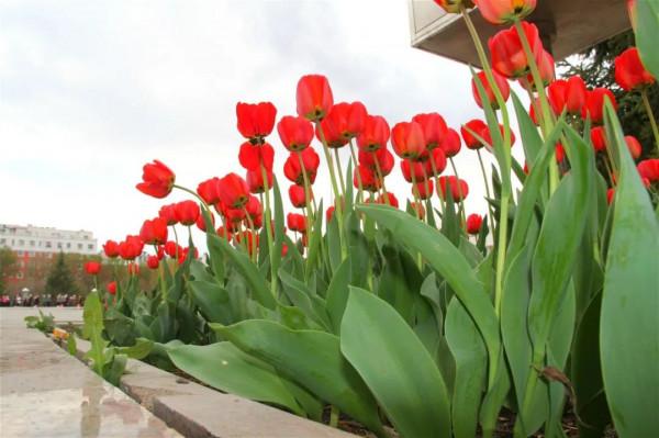 一起走進塔城文化廣場