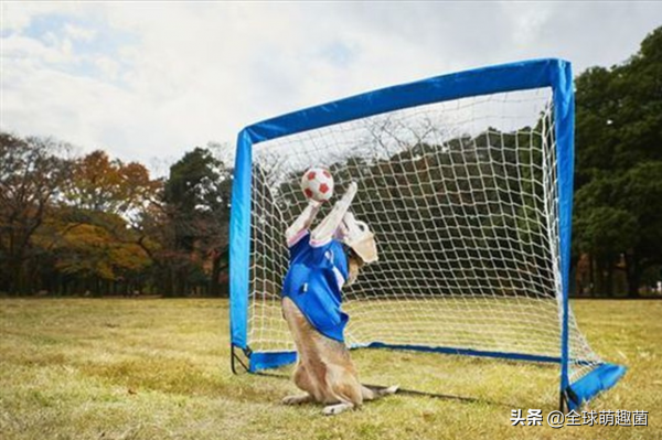 40個顛覆認知的吉尼斯記錄,男子把飛機當飯吃,用玻璃碎片洗臉 40個顛覆認知的吉尼斯記錄,男子把飛機當飯吃,用玻璃碎片洗臉