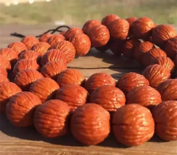 紫金鼠、橄欖核、猴頭，光珠手串哪個最貴？