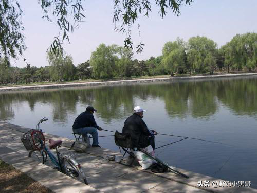 冬季在這幾種情況下垂釣,漁獲好簡直易如反掌 冬季在這幾種情況下垂釣,漁獲好簡直易如反掌