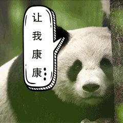 動物表情包大賽開始啦！快，秀出你的高質量動物表情包