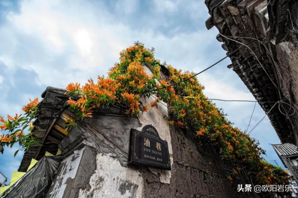 國內34省區最值得去的地方，個個都美得有魔力，此生不去心不安