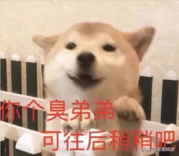 今日科技熱點:終結者成為可能?可以繁殖的活體機器人誕生 今日科技熱點:終結者成為可能?可以繁殖的活體機器人誕生